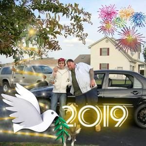 Meet your Posher, Dorothy